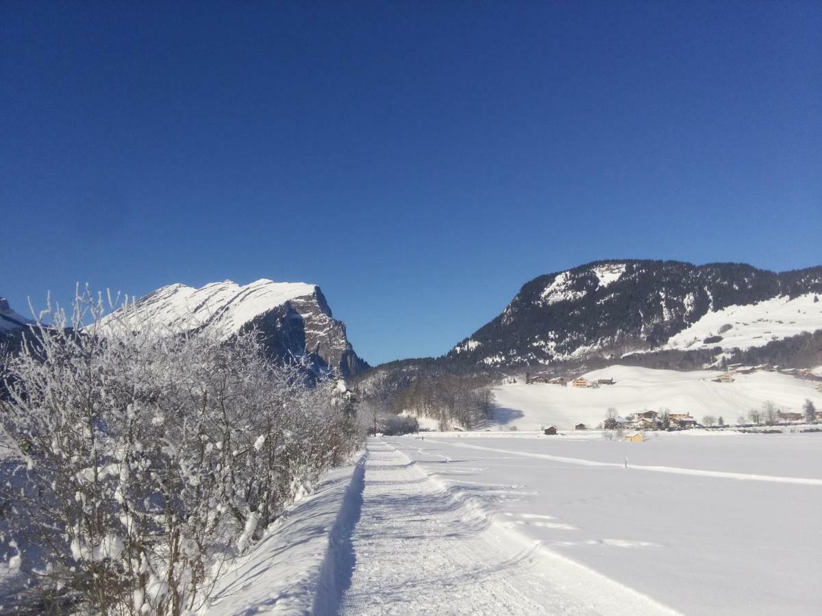 Gaestehaus Pfandl Au (Vorarlberg) Εξωτερικό φωτογραφία