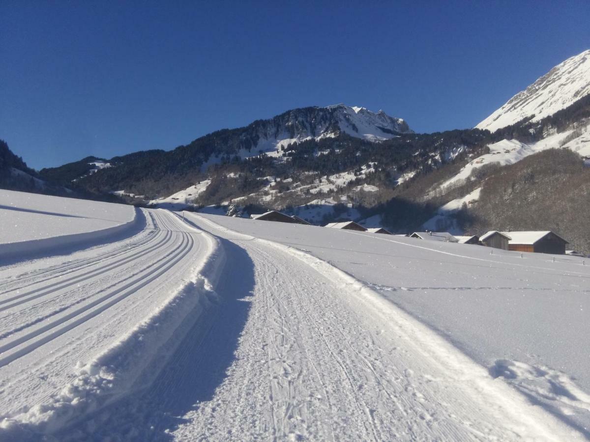 Gaestehaus Pfandl Au (Vorarlberg) Εξωτερικό φωτογραφία